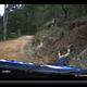 Image for article titled Behold The Dumbest Thing I've Ever Seen On A Rally Stage